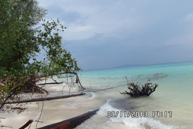 SAM_4512_Bamboo_Isl.JPG