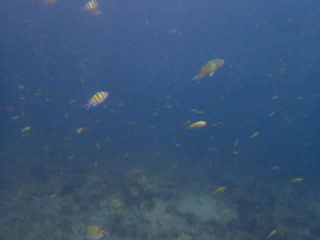 SAM_4535__Lohlanah_Bay1.JPG