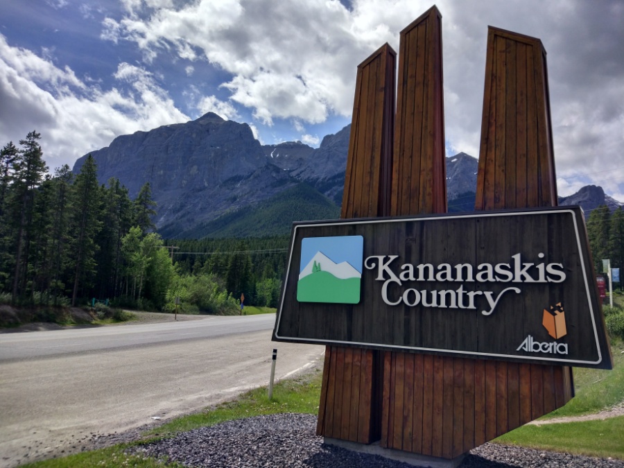 drog7.jpg