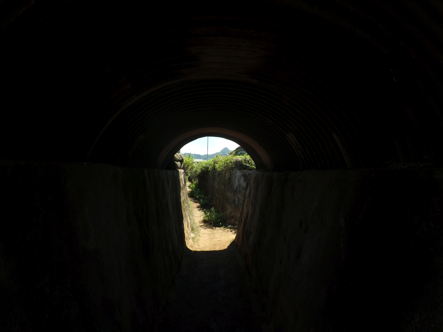 Y3540257.jpg