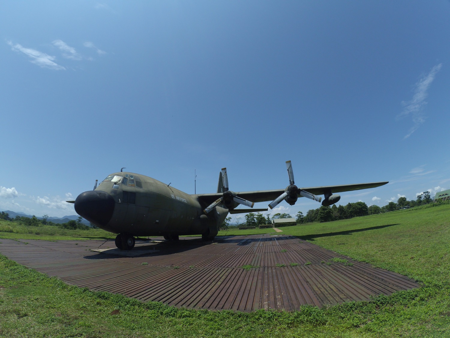 Y3550282.jpg