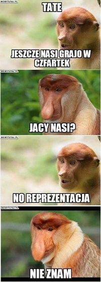 Nasi.jpg