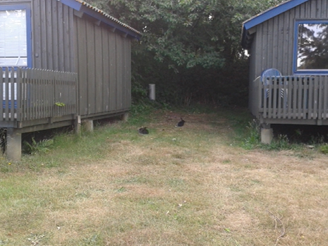 20140619_180226.jpg