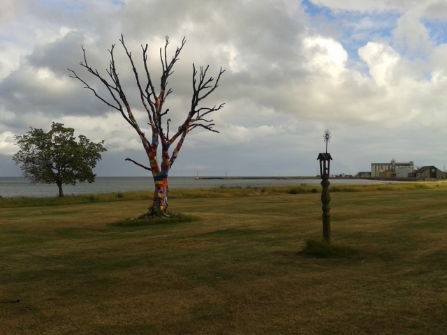 20140619_182032.jpg