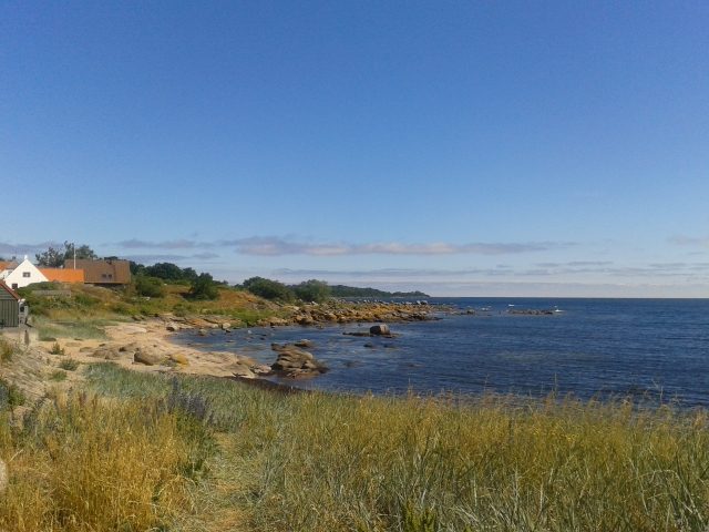 20140620_101126.jpg