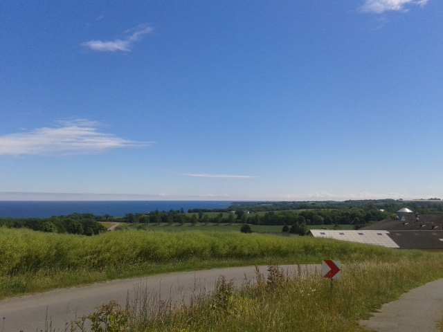 20140620_121308.jpg