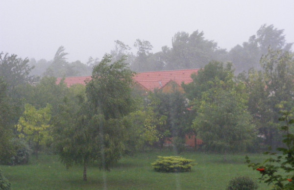 DSCF7691.JPG