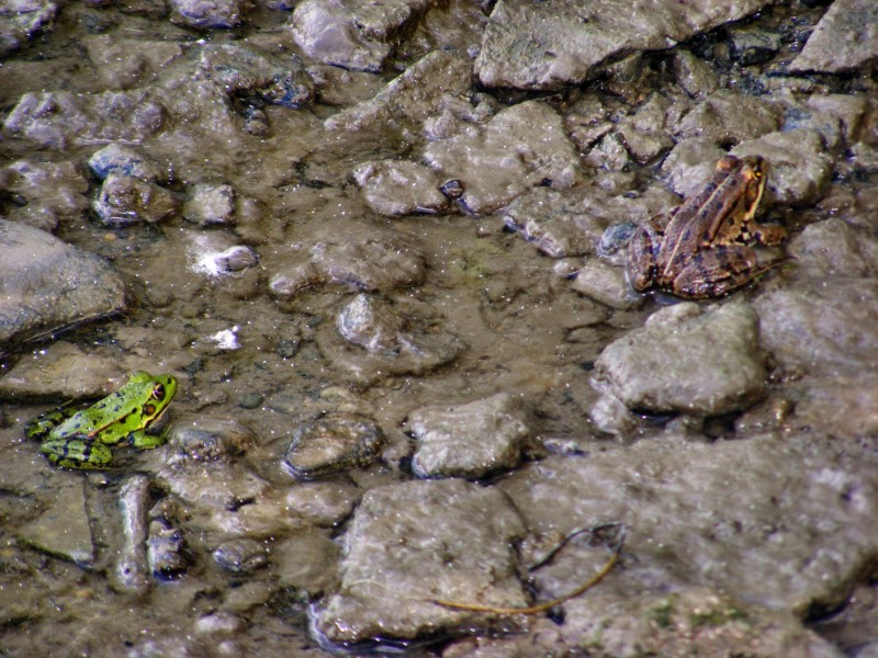 DSCF5550.JPG