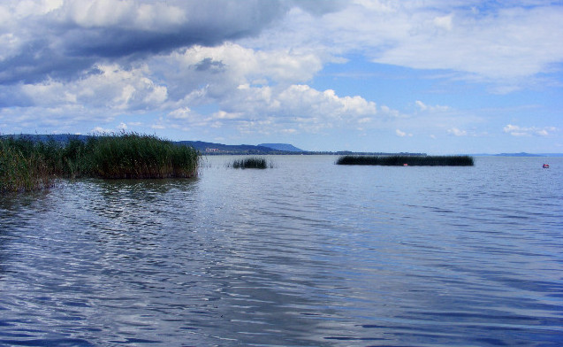 DSCF5559.JPG