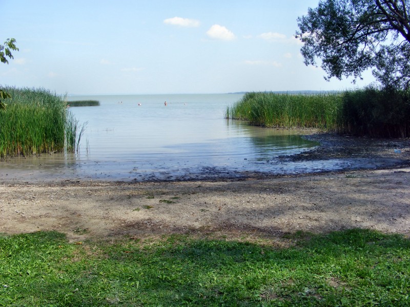 DSCF5032.JPG