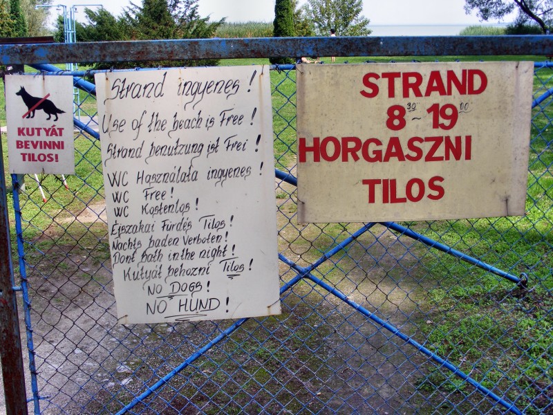 DSCF5039.JPG