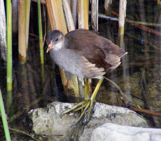 DSCF5607.JPG