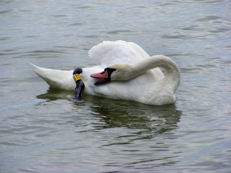 DSCF6298.JPG