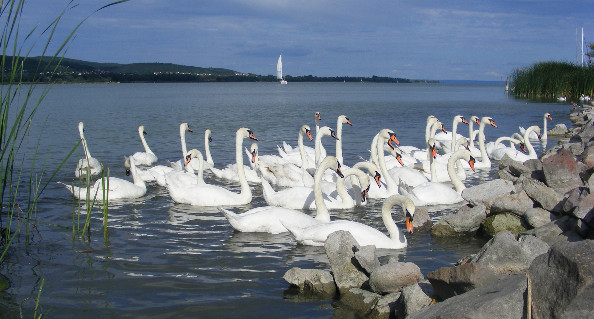 DSCF5576.JPG