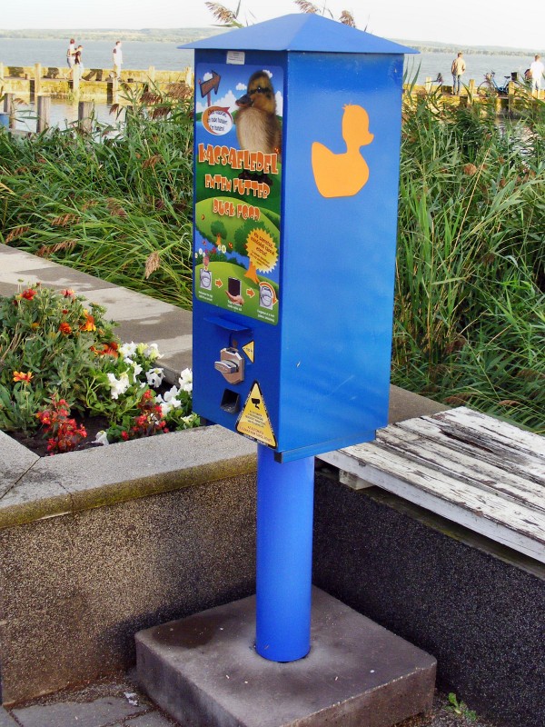 DSCF7752.JPG