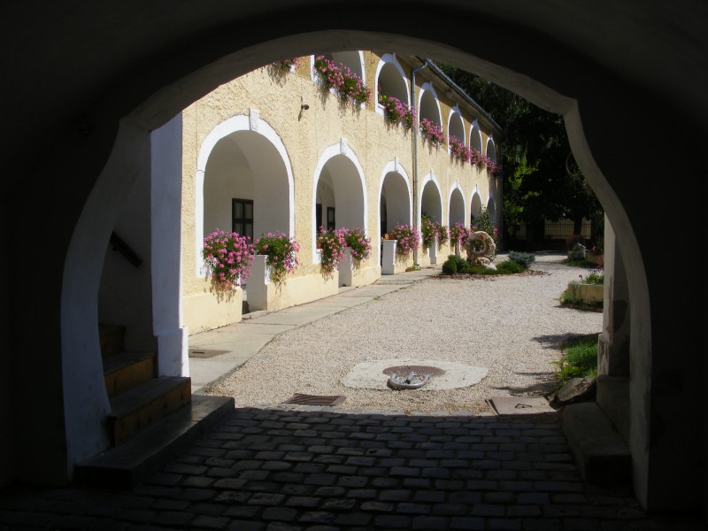 DSCF7688.JPG