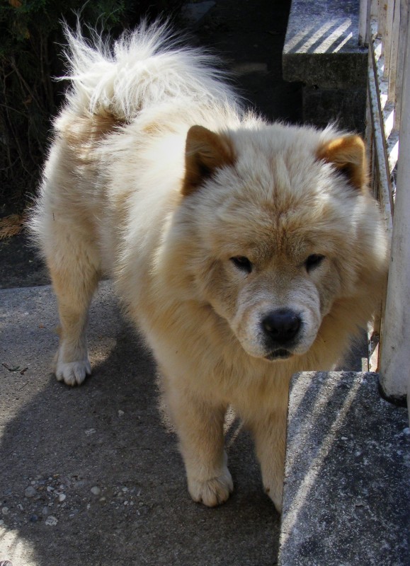 DSCF6977.JPG