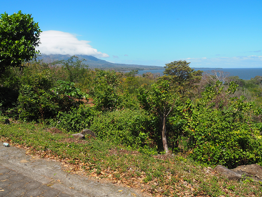 P2206758.JPG