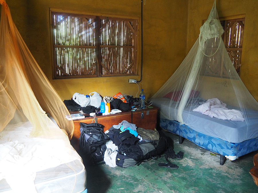 P2206732.JPG