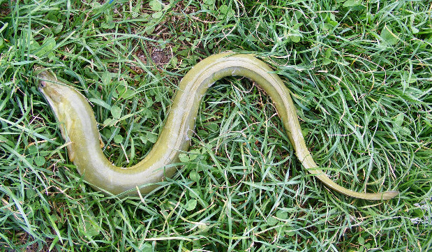 DSCF5631.JPG