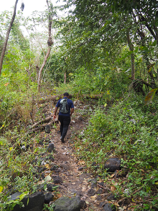 P2216874.JPG