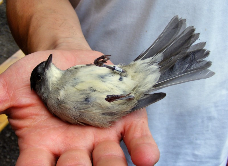 DSCF5980.JPG