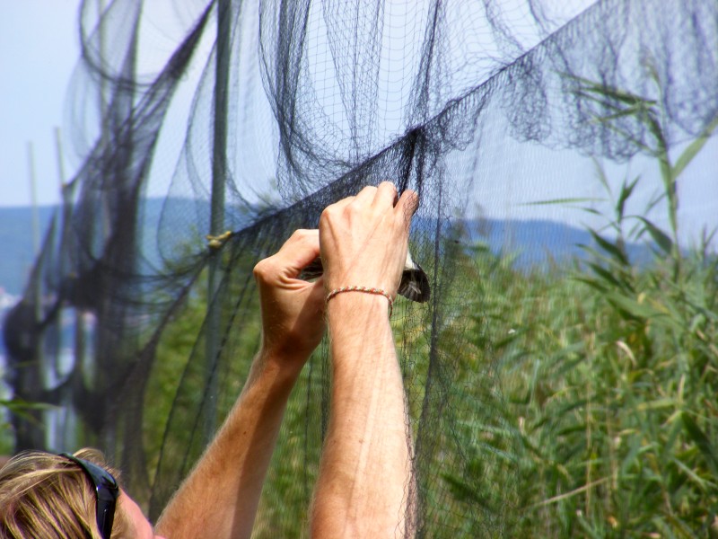 DSCF5964.JPG