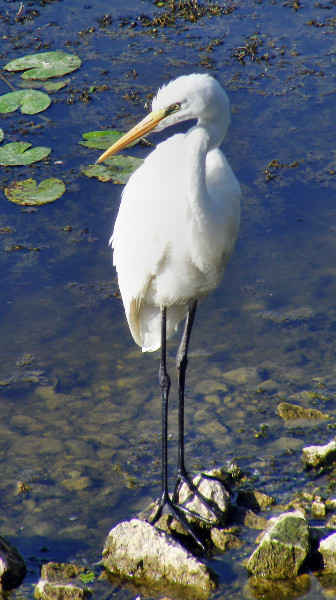 DSCF6146.JPG
