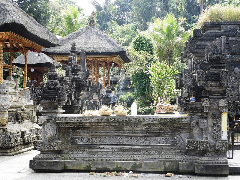 481.JPG