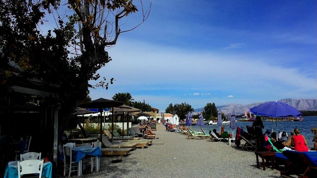 plaża1.jpg