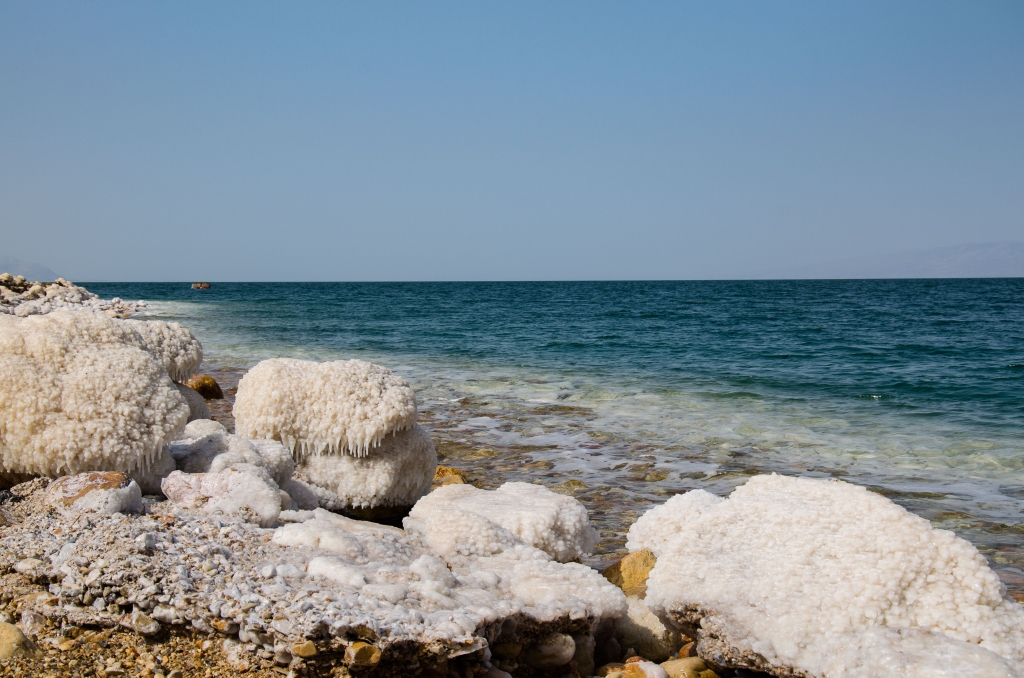 DSC_5165.jpg