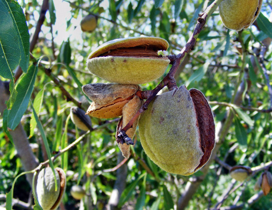 DSCF7527.JPG