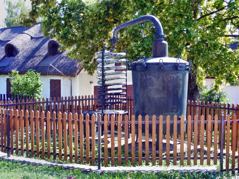 DSCF7539.JPG