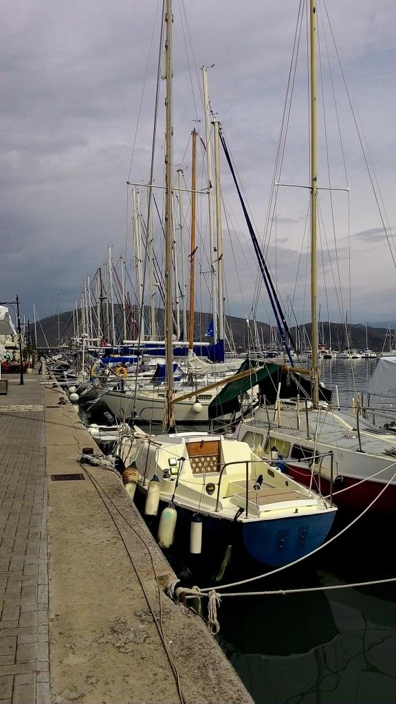 marina1.jpg