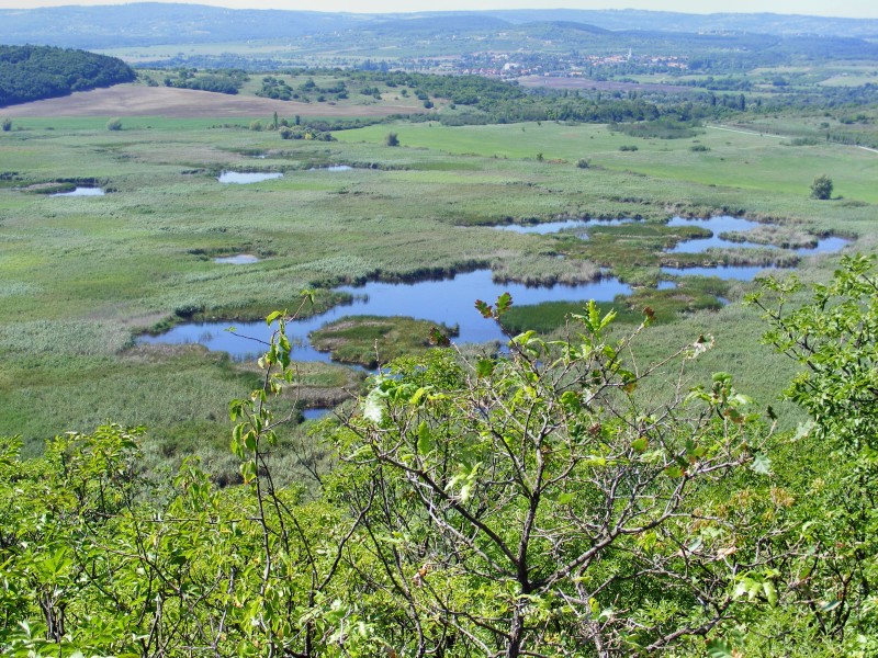 DSCF7514.JPG