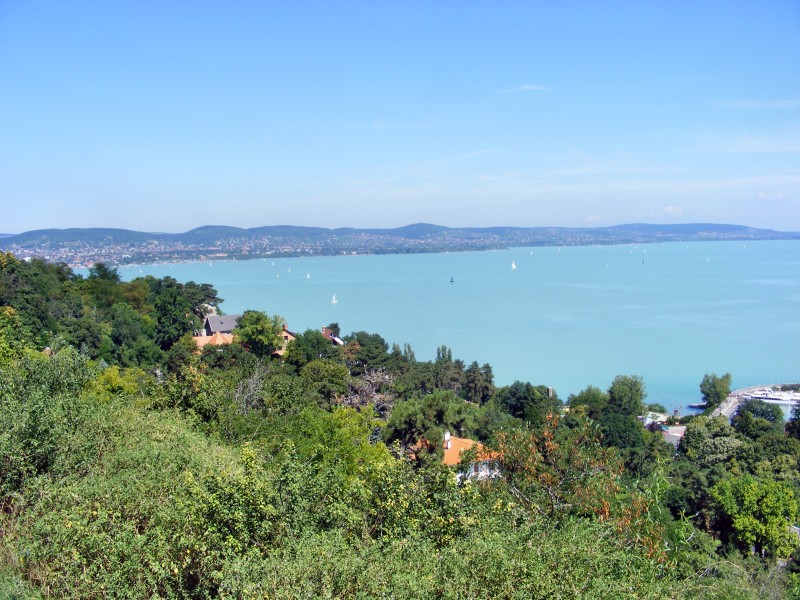 DSCF7380.JPG