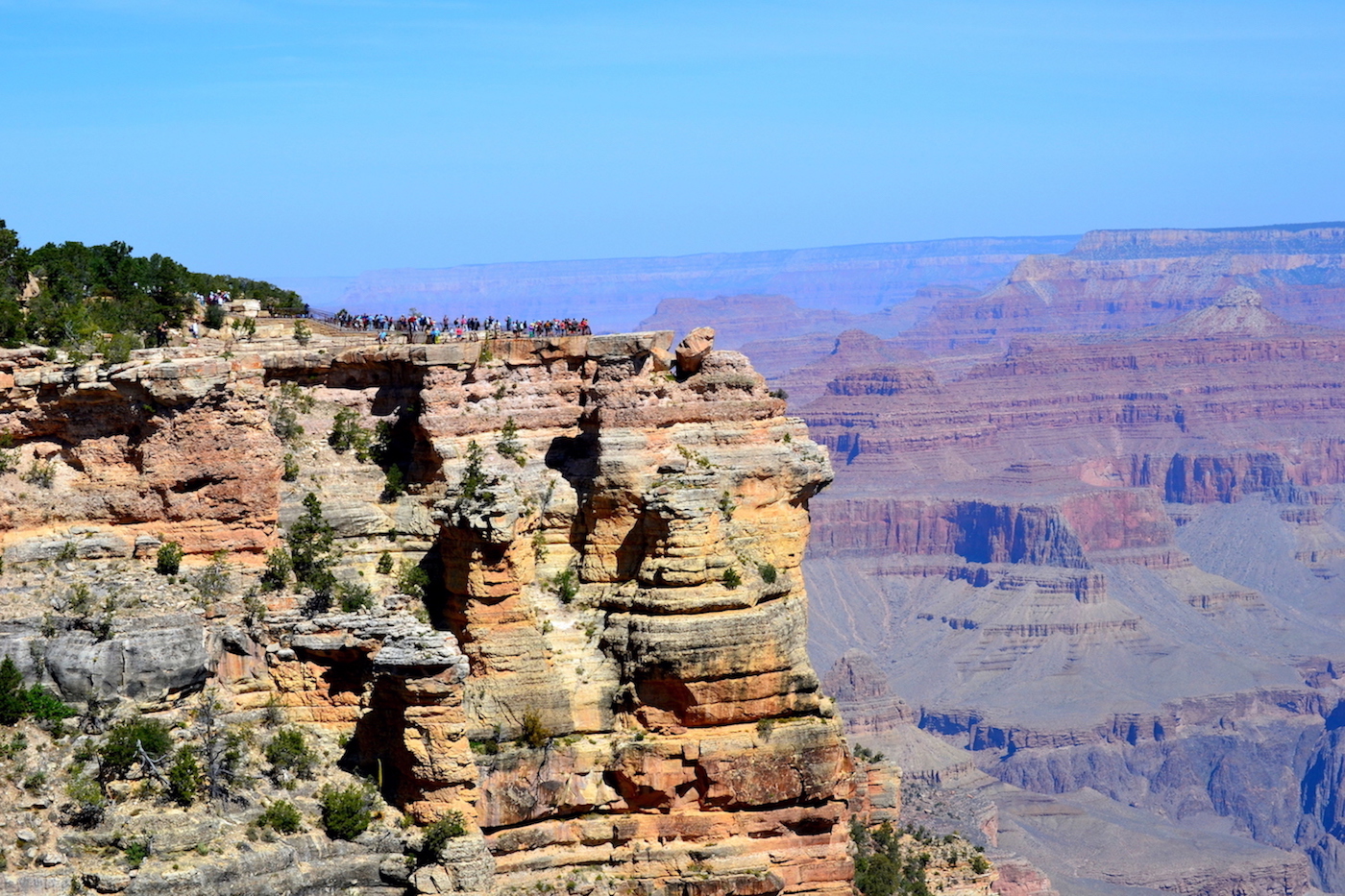 DSC_0110.JPG