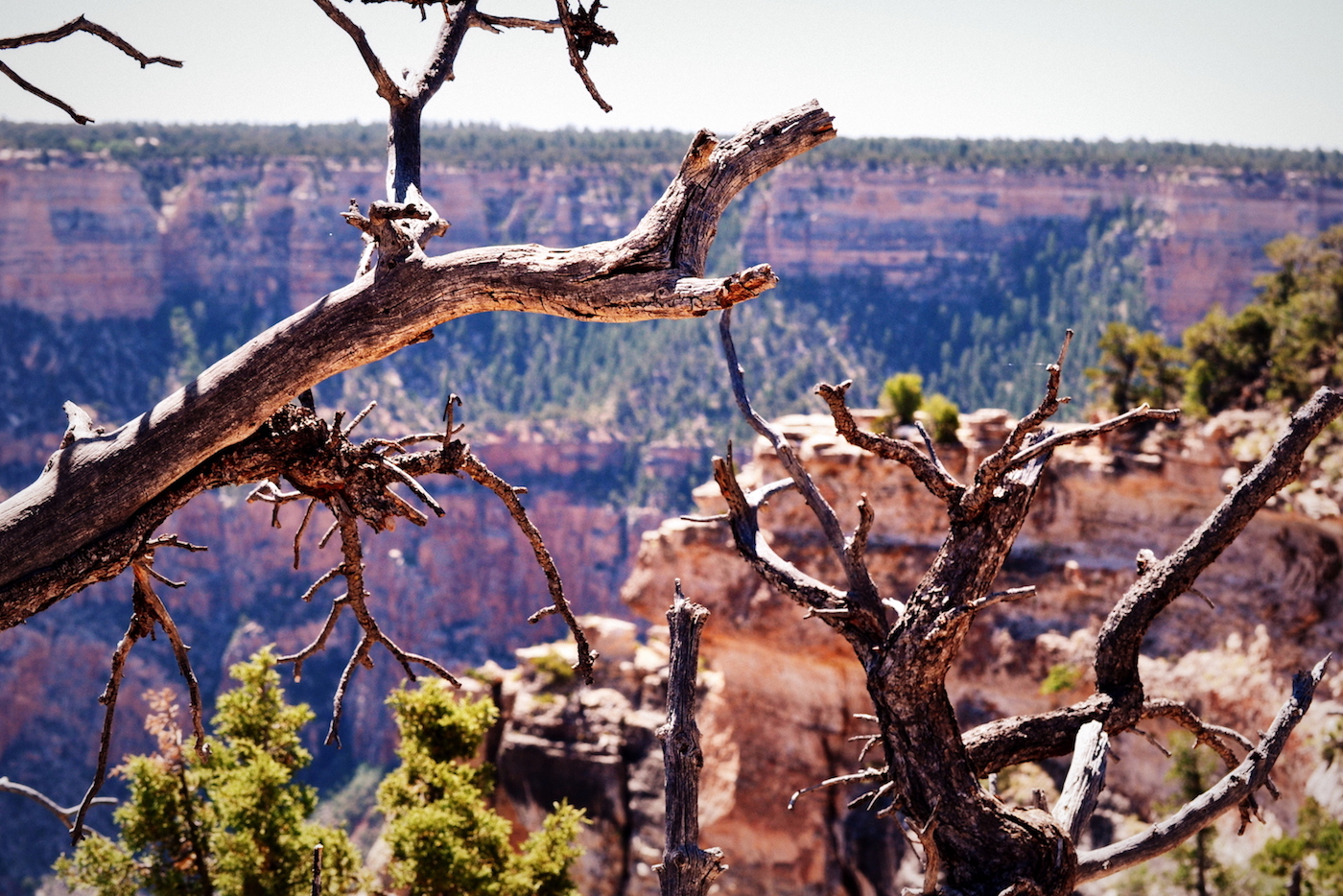 DSC_0130.JPG