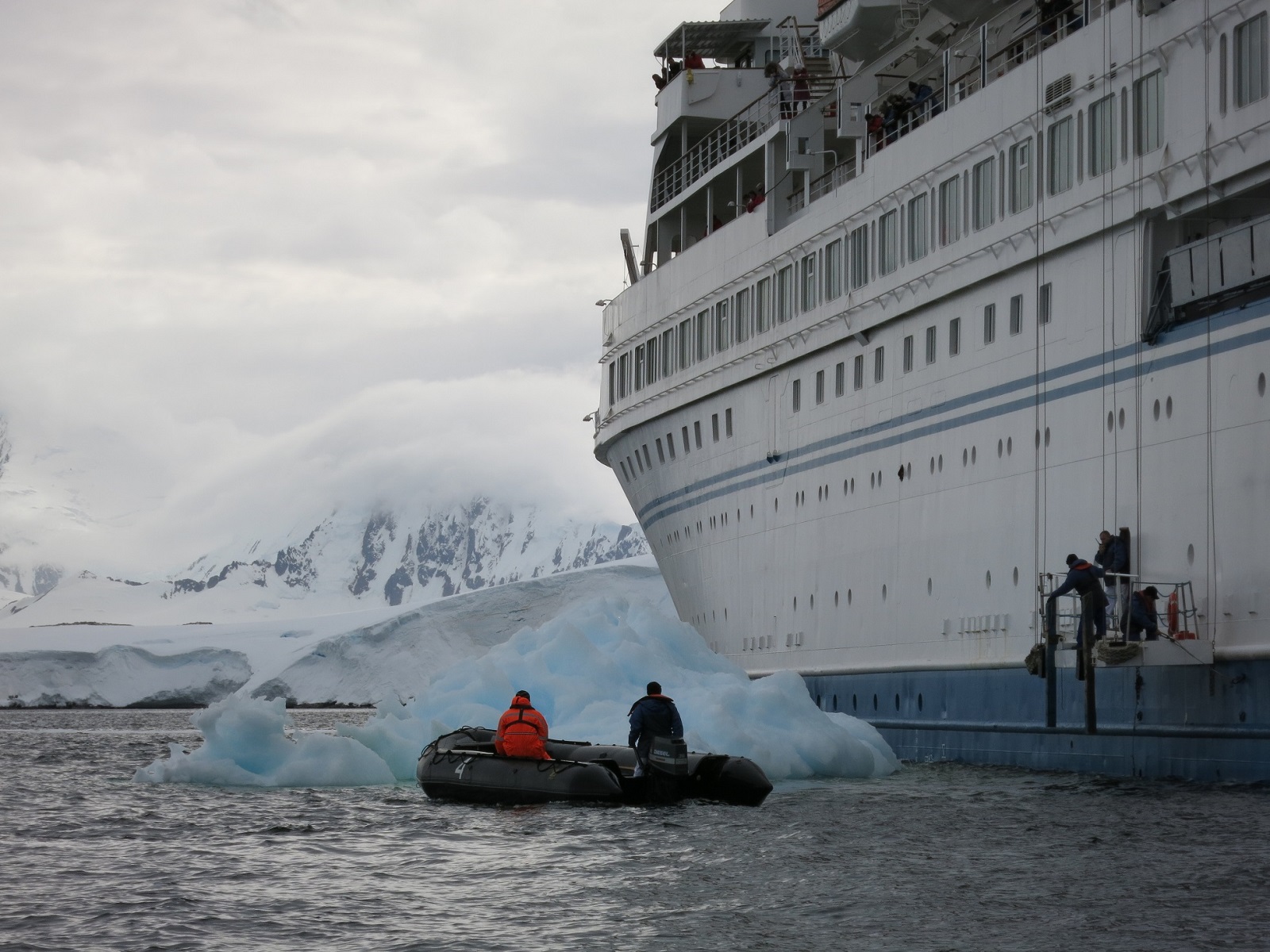 Ms Delphin powrót.jpg