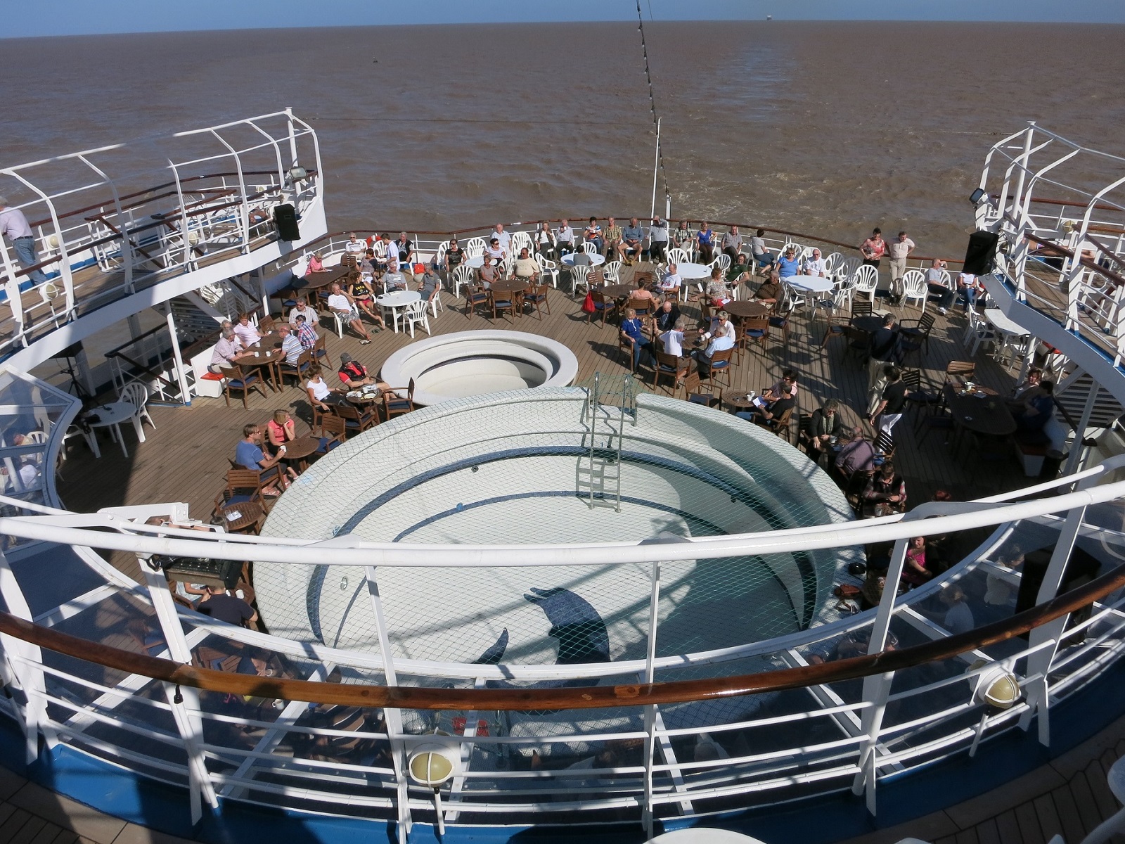 Ms Delphin rufa.jpg