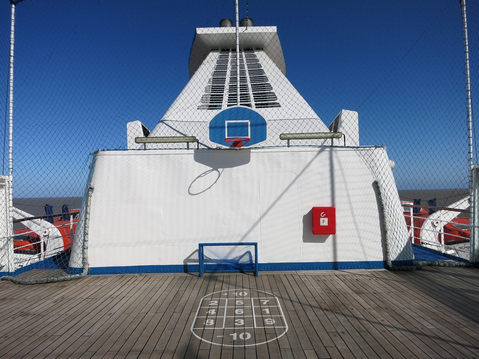 Ms Delphin boisko.jpg
