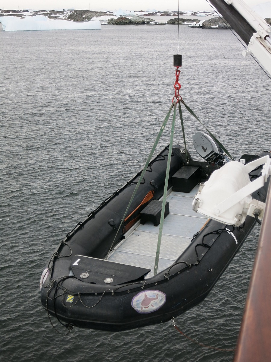 Ms Delphin zodiaki na wodę.jpg