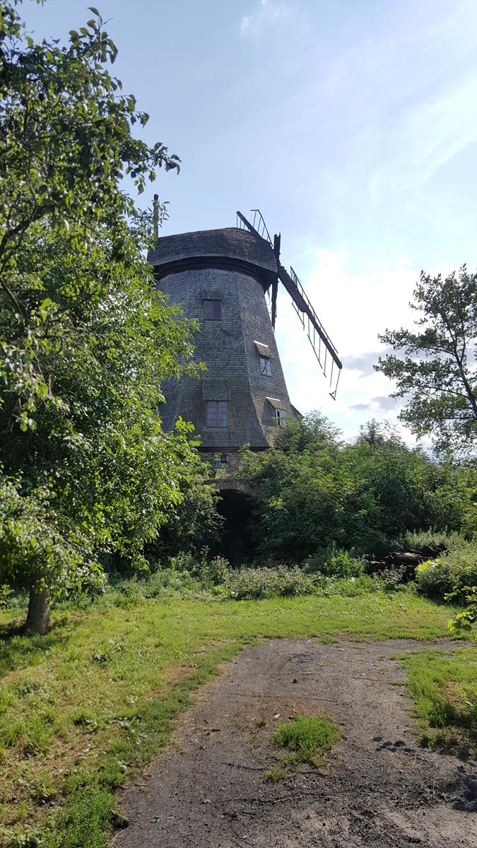 20180816_152649 (Copy).jpg