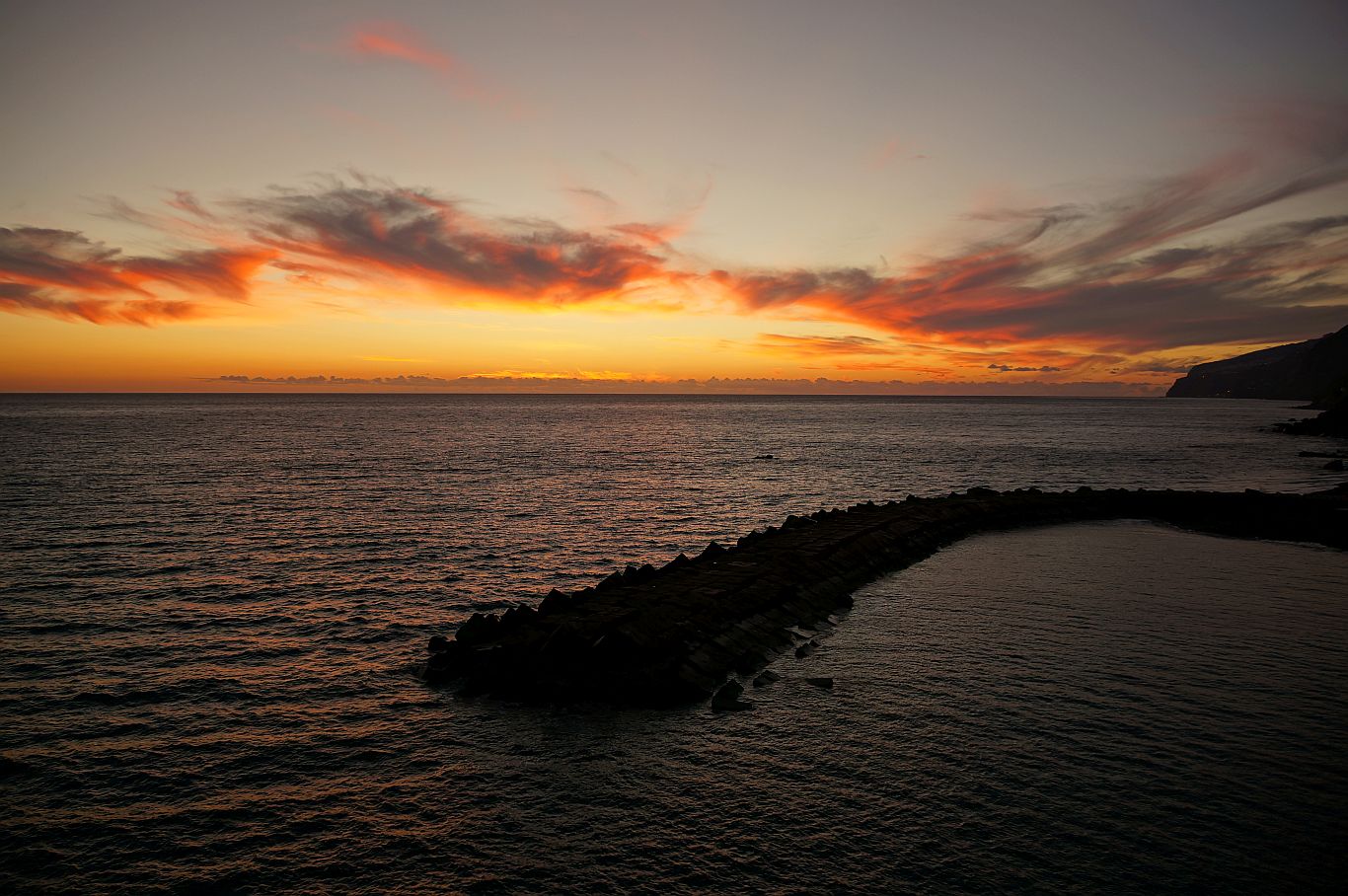 DSC100297.jpg