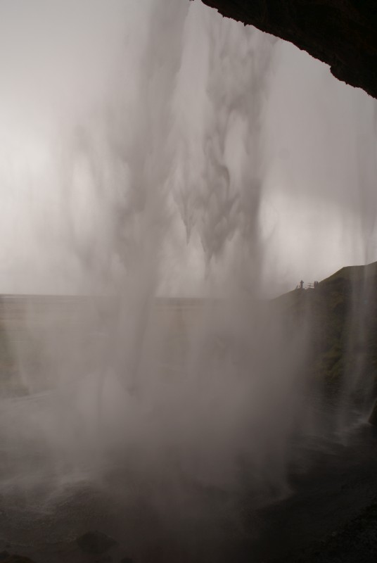 DSC07535.JPG