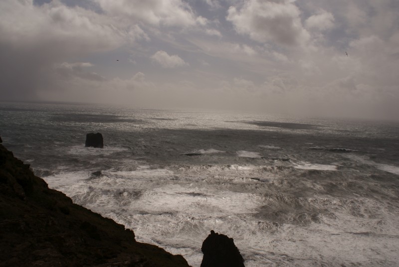 DSC07643.JPG