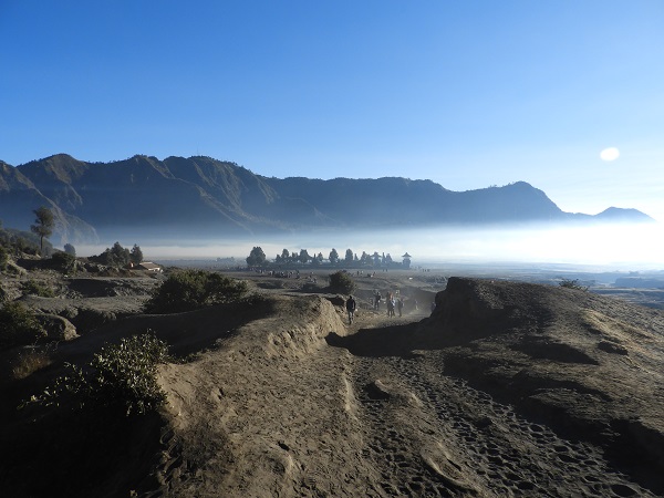 1442.JPG