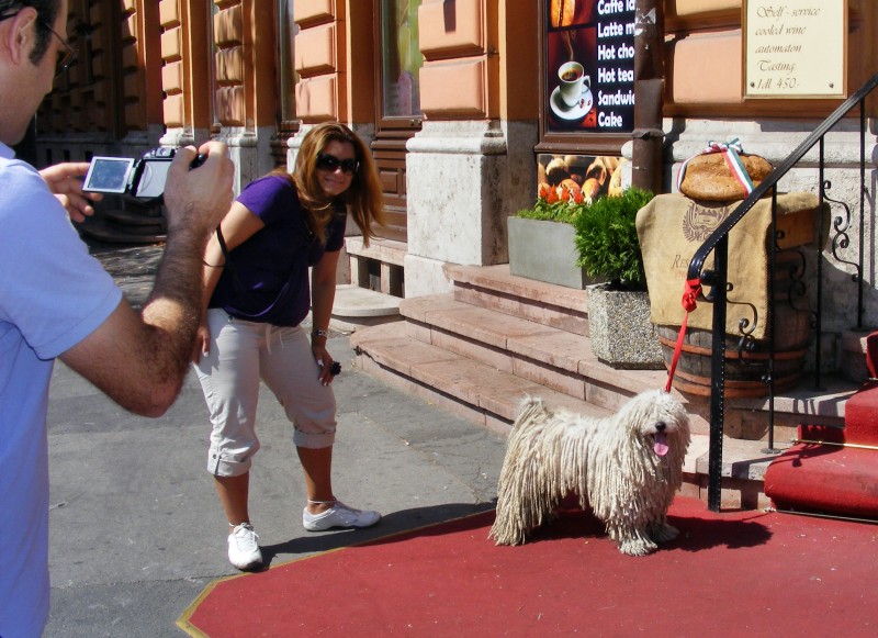 DSCF6488.JPG