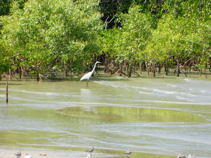 DSCN3841.JPG