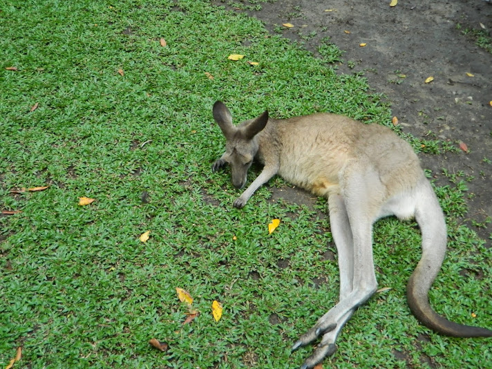 DSCN3705.JPG